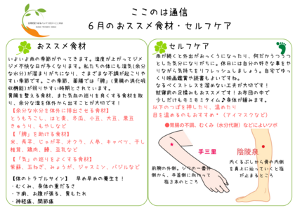 ６月の食養生・簡単セルフケア