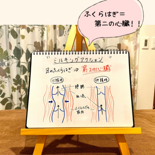 ふくらはぎのケアもかかせません！