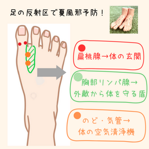 足湯