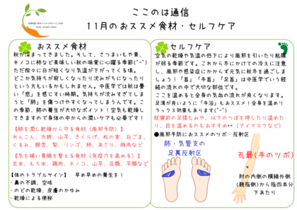 １１月の食養生・簡単セルフケア
