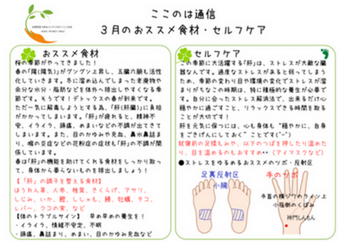 ２０２４年３月の食養生・簡単セルフケア