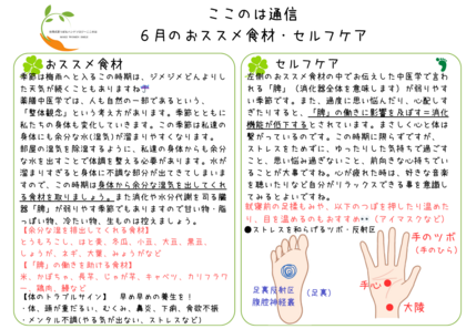 ２０２４年６月の食養生・簡単セルフケア
