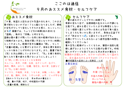 ２０２４年９月の食養生・簡単セルフケア