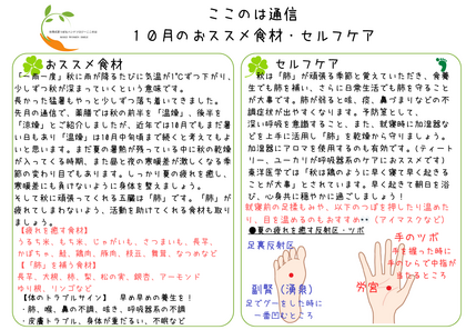 ２０２４年１０月の食養生・簡単セルフケア