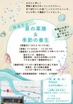 第５回　薬膳講座開催します☆彡　ゆるりと夏の薬膳＆季節の養生　～薬膳の知恵で整える夏の体と心～