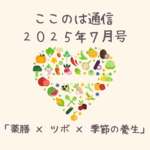 ７月の薬膳食養生＆ツボ養生～夏本番！薬膳で乗り切る元気のヒント～　