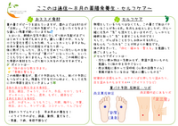 ８月の薬膳食養生＆ツボ養生～“秋バテ”しない体を今からつくる～　