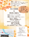 第６回　薬膳講座開催します☆彡　ゆるりと秋の薬膳＆季節の養生　～夏の疲れを癒し秋へ..季節のととのえ時間～