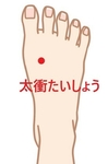 🌸春に向けて　気の巡りと自律神経を整える養生　～薬膳＋ツボケア～